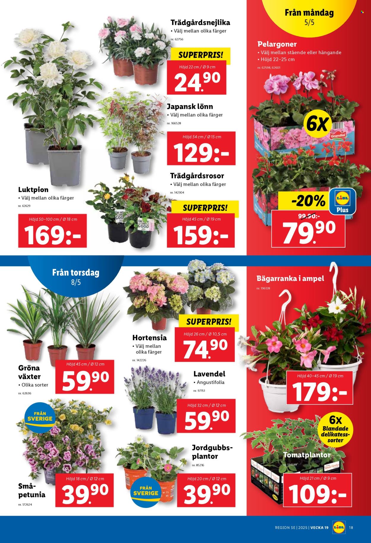 Lidl reklamblad - 5/5 2025 - 11/5 2025. Sida 1