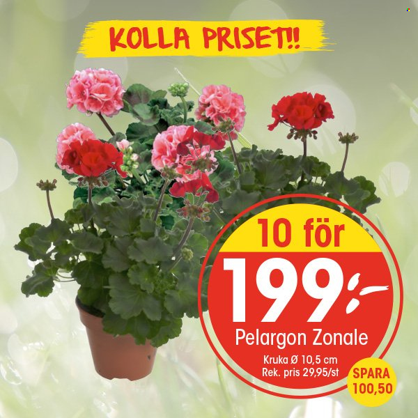 EKO reklamblad. Sida 1