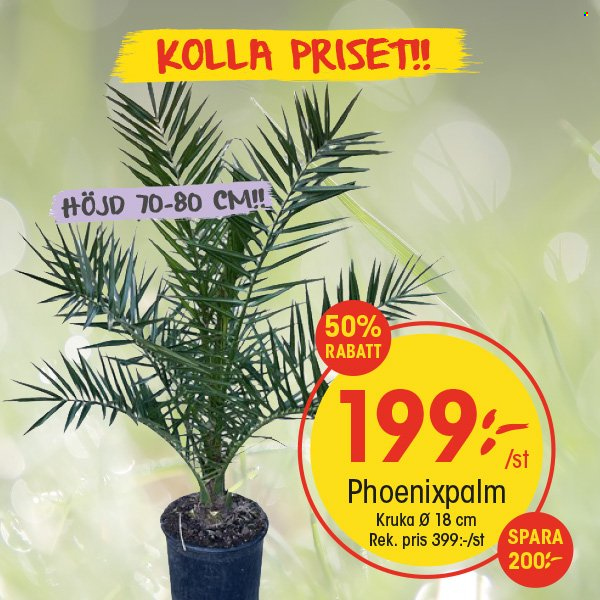 EKO reklamblad. Sida 1