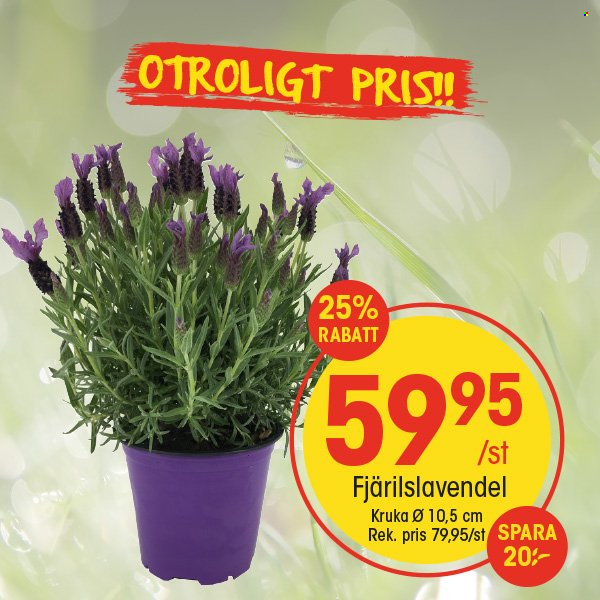 EKO reklamblad. Sida 1