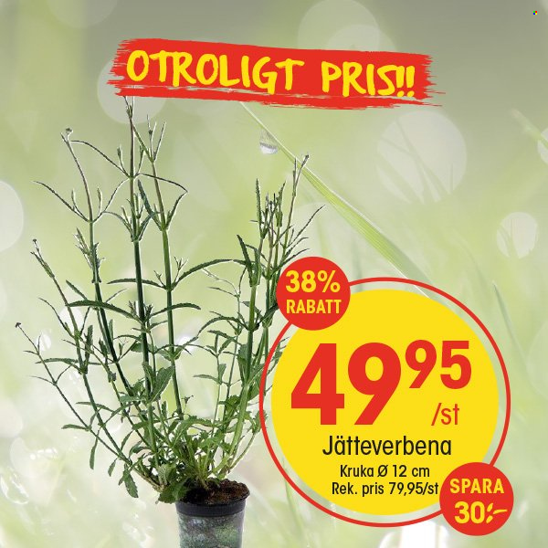 EKO reklamblad. Sida 1