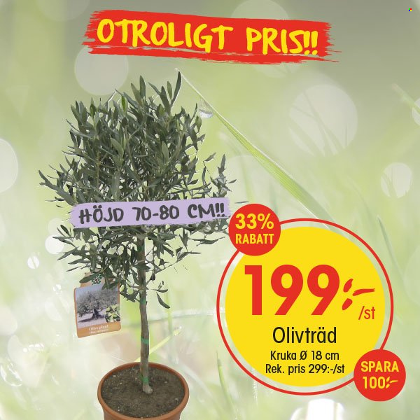 EKO reklamblad. Sida 1
