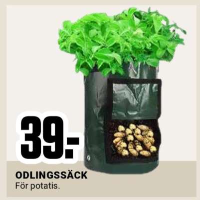 ODLINGSSÄCK