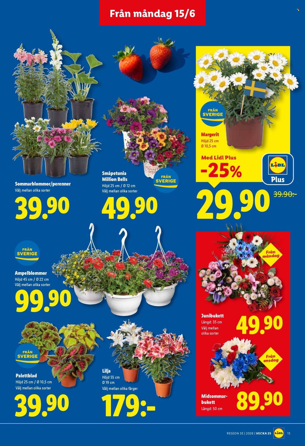 Lidl reklamblad - 15/6 2026 - 21/6 2026. Sida 15