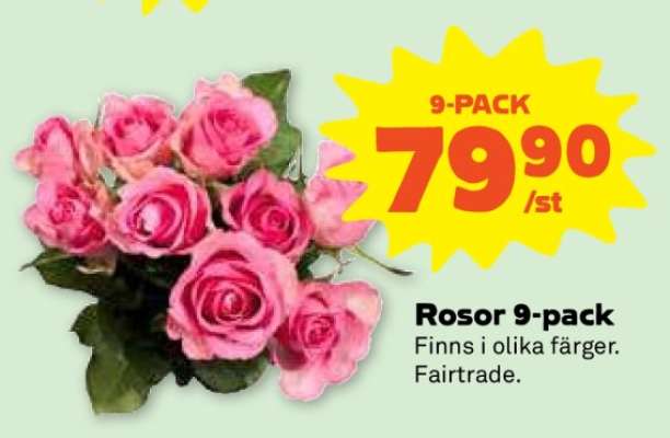 ROSOR 9-PACK