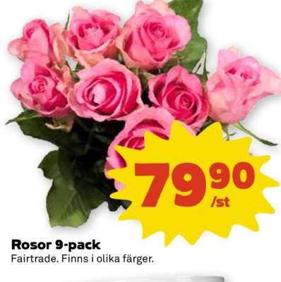 ROSOR 9-PACK
