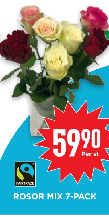 ROSOR MIX 7-PACK