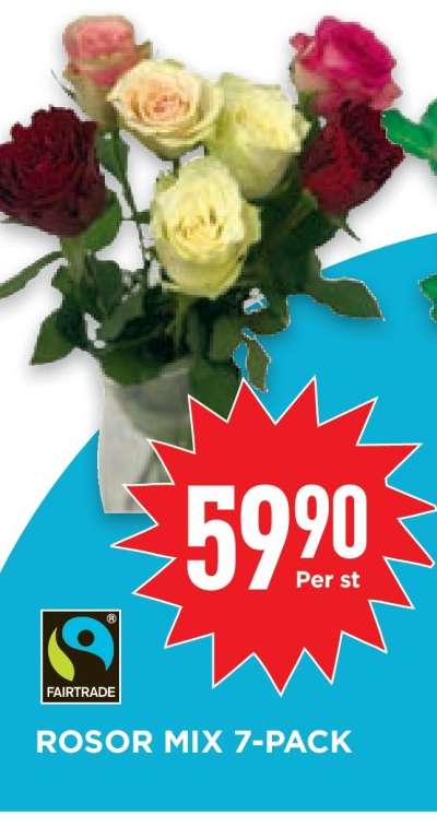 ROSOR MIX 7-PACK