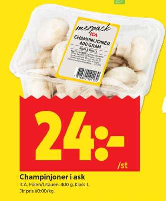 CHAMPINJONER I ASK