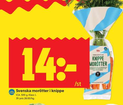 Svenska morötter i knippe