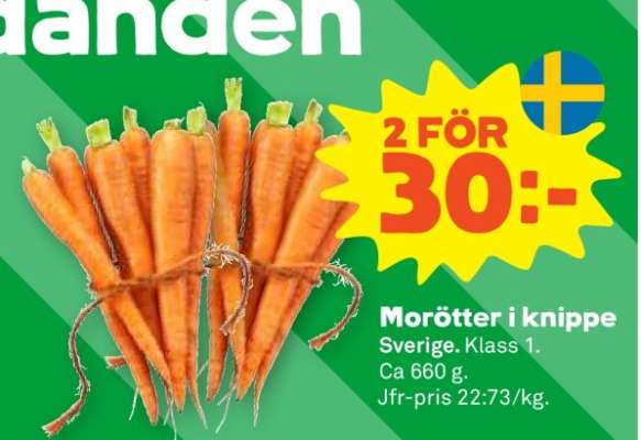 Morötter i knippe
