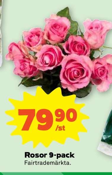 ROSOR 9-PACK