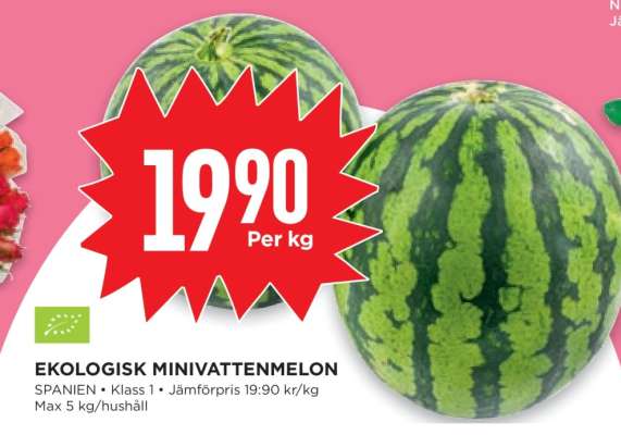 Ekologisk Minivattenmelon