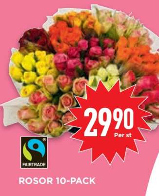 ROSOR 10-PACK
