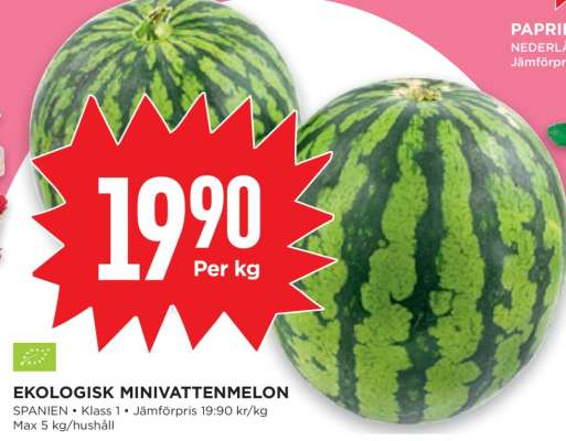 Ekologisk Minivattenmelon