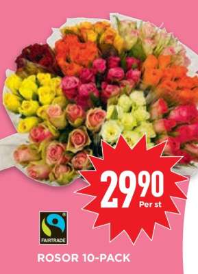 ROSOR 10-PACK