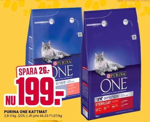 PURINA ONE KATTMAT