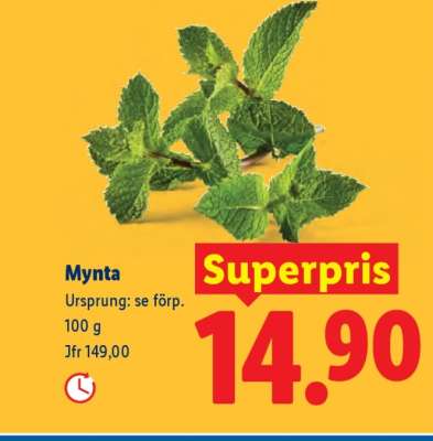 Mynta