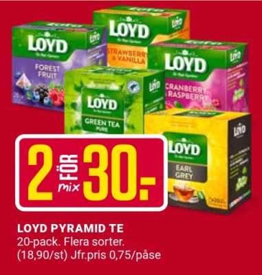 LOYD PYRAMID TE