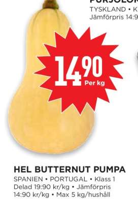 HEL BUTTERNUT PUMPA