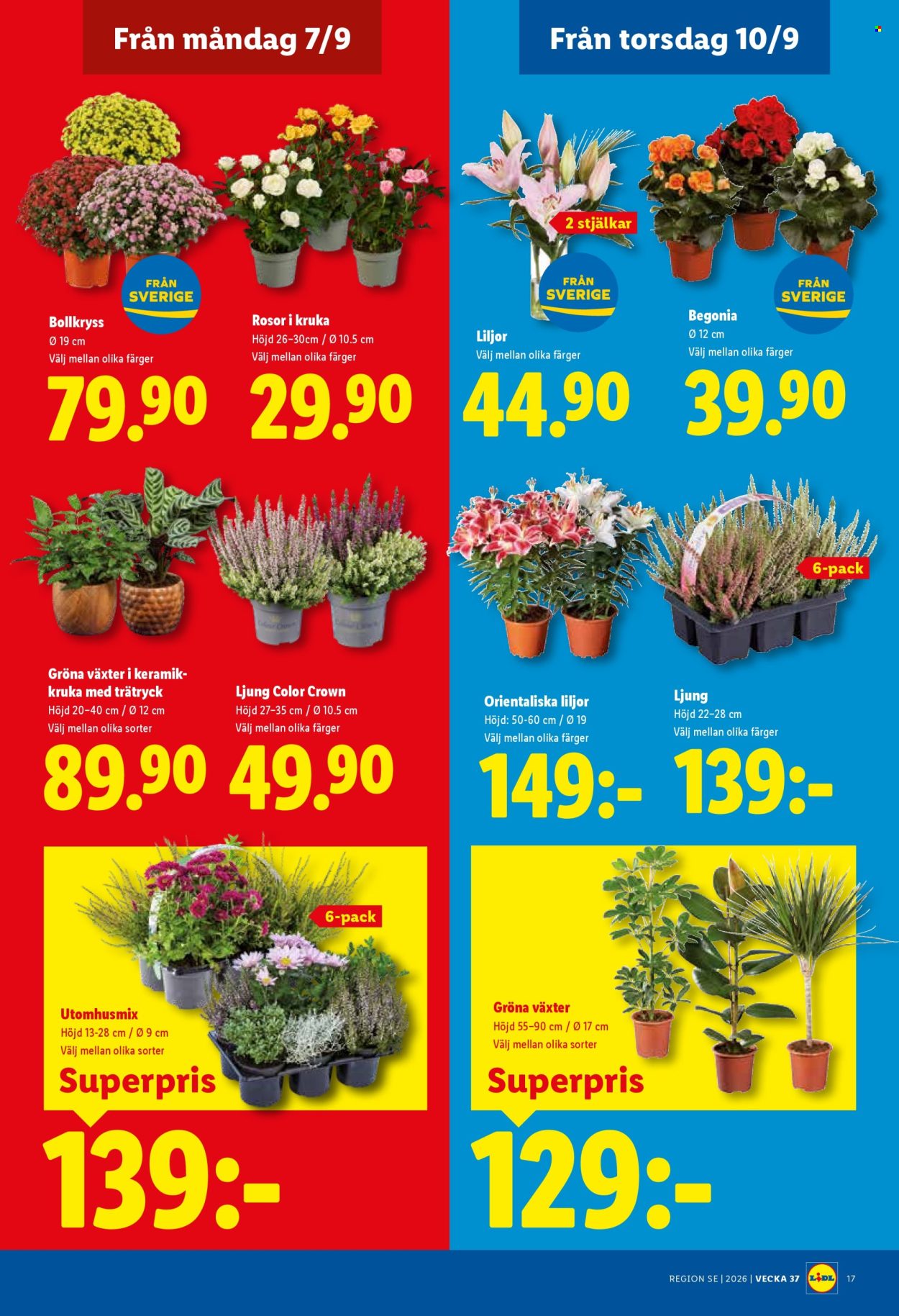 Lidl reklamblad - 7/9 2026 - 13/9 2026. Sida 22