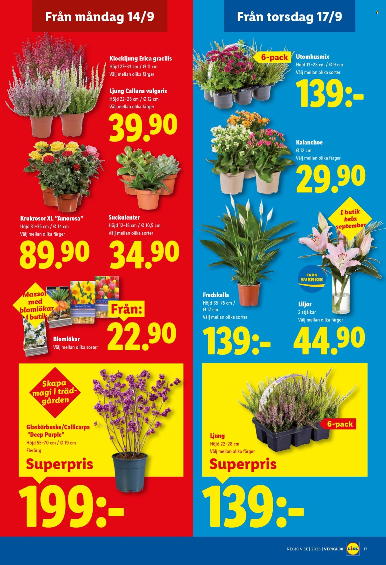 Lidl reklamblad - 14/9 2026 - 20/9 2026. Sida 20