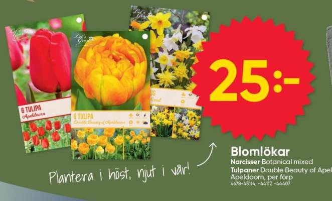 Blomlökar