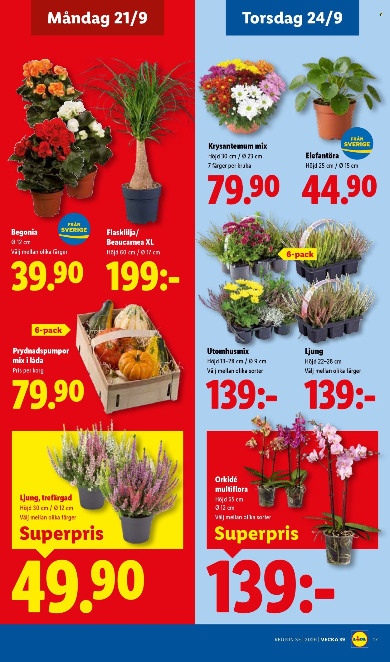 Lidl reklamblad - 21/9 2026 - 27/9 2026. Sida 20