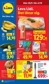 leaflet