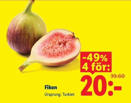 Fikon