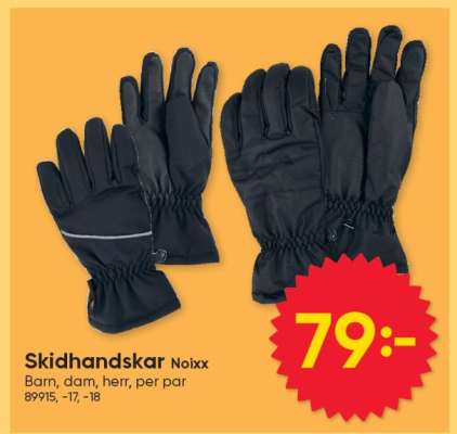 Skidhandskar Noixx