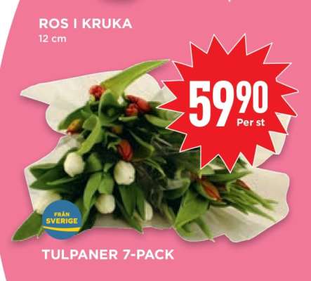 TULPANER 7-PACK