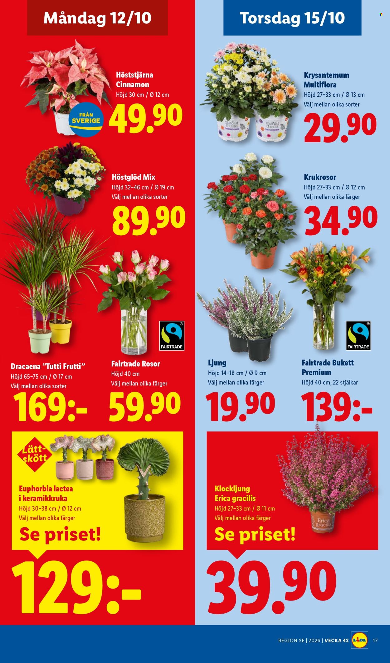 Lidl reklamblad - 5/10 2026 - 11/10 2026. Sida 22
