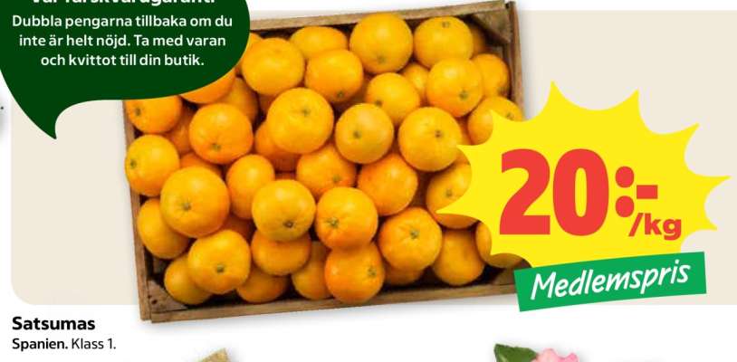 Satsumas