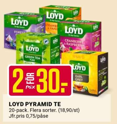 LOYD PYRAMID TE