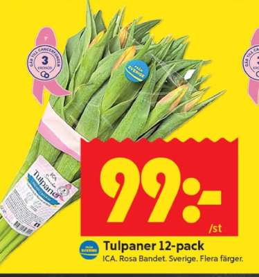 TULPANER 12-PACK