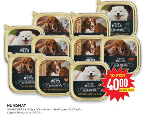 Hundmat