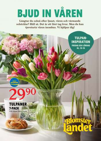 Blomsterlandet reklamblad