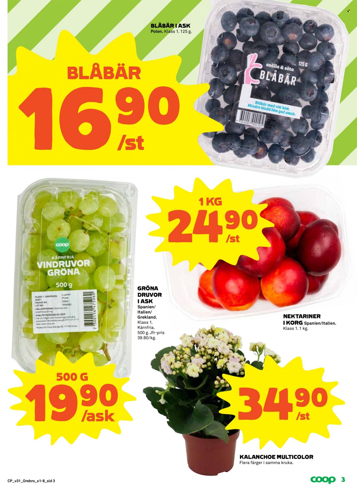 Coop reklamblad - 1/8 2022 - 7/8 2022 - varor från reklamblad - gröna druvor, vindruvor, nektariner, Kalanchoe, kruka. Sida 3.