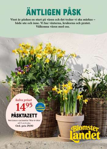 Blomsterlandet Växjö reklamblad